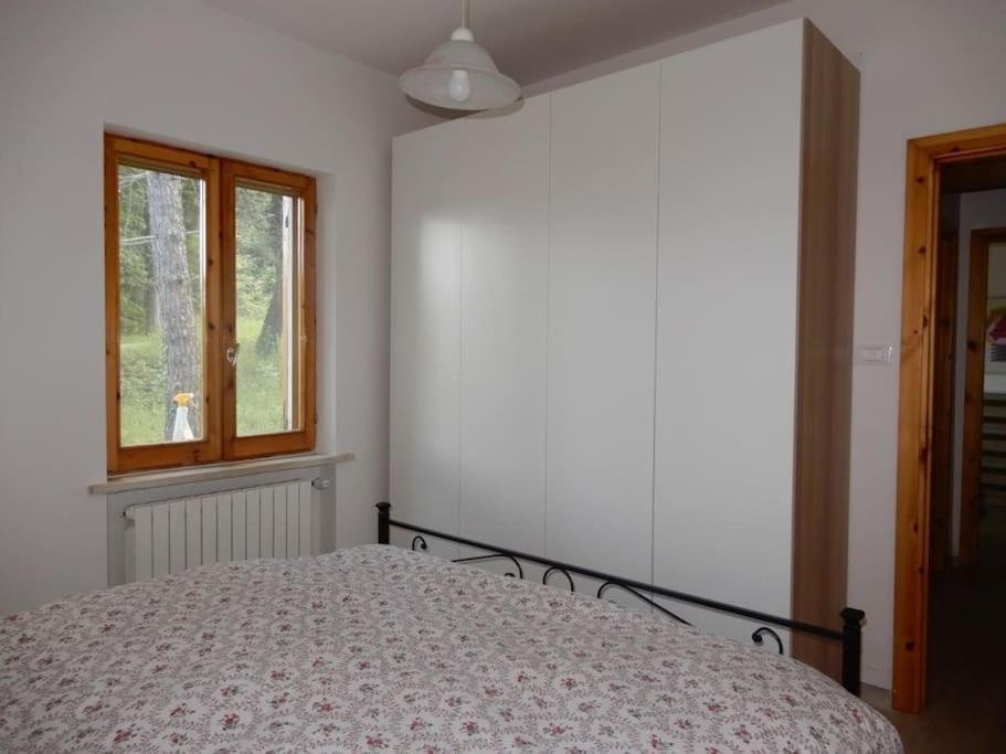 Majella Green House Roccamontepiano Екстериор снимка