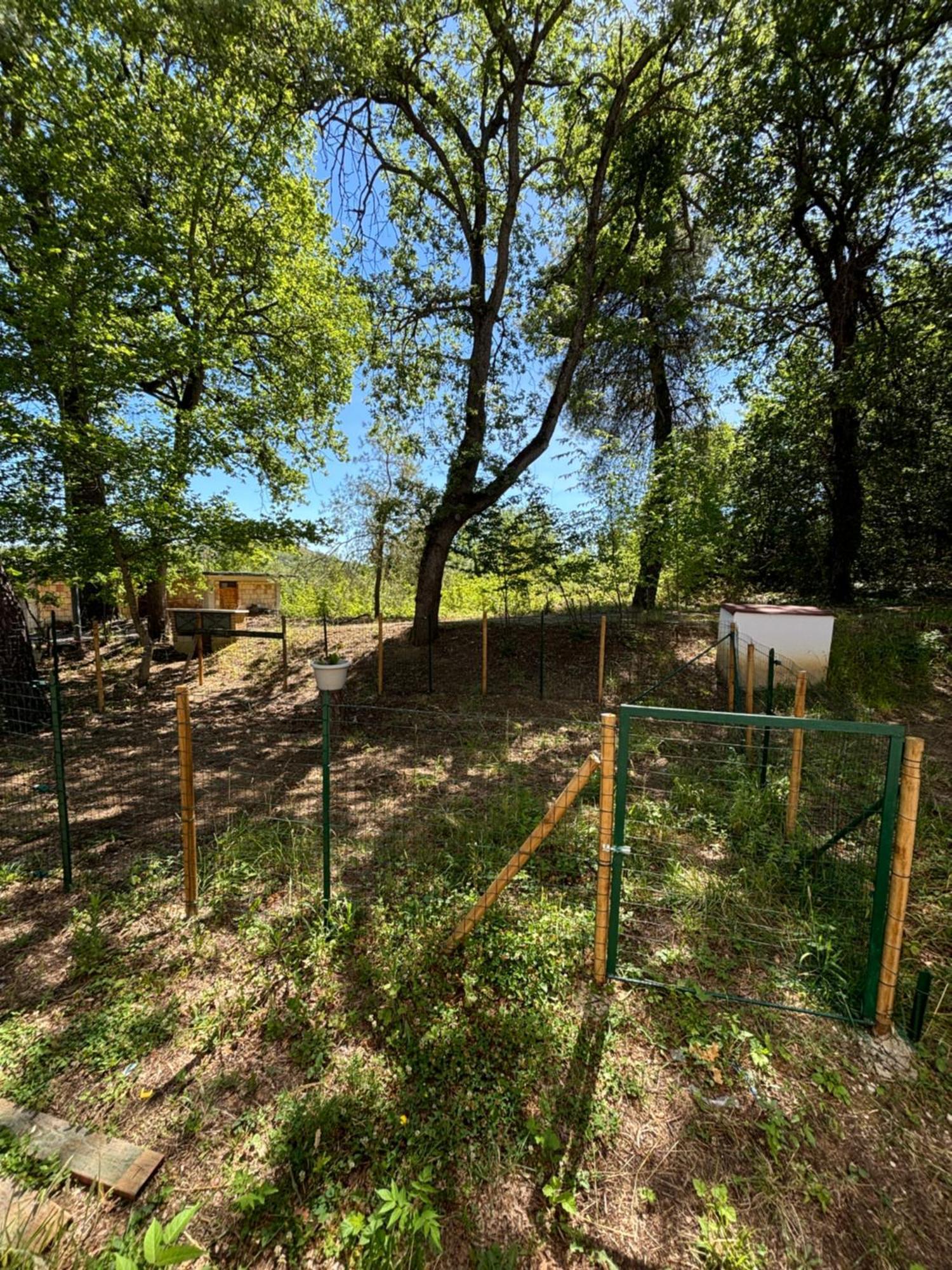 Majella Green House Roccamontepiano Екстериор снимка